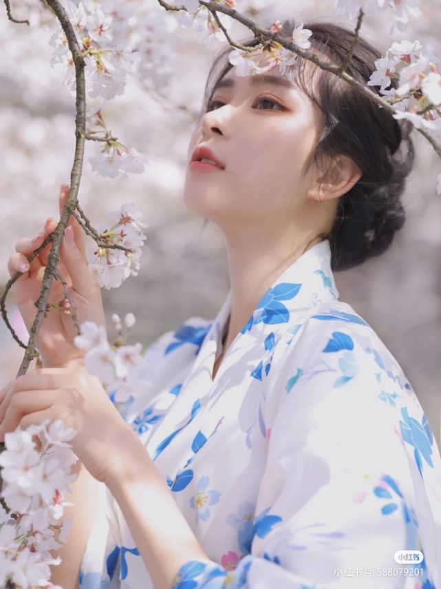 樱花树下的和服少女写真
