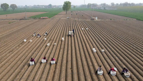 河北省邢台沙河gdp_两大龙头直接合并 巨头来了(3)