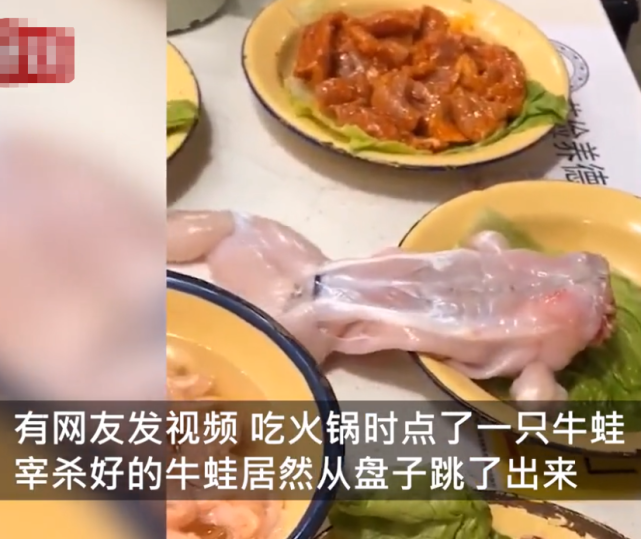 江南|牛蛙|江苏|南京