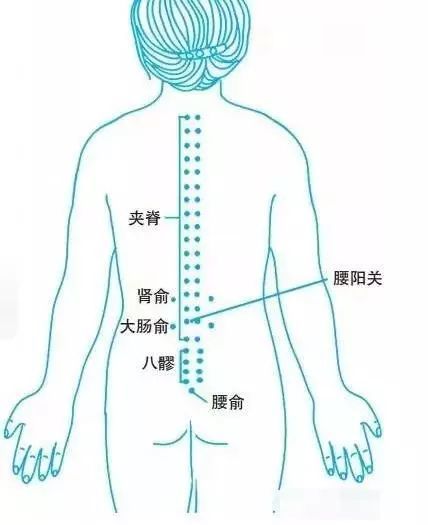 用力点按患者腰部和骶部的夹脊穴,肾俞穴,大肠俞穴,腰阳关穴,八髎穴