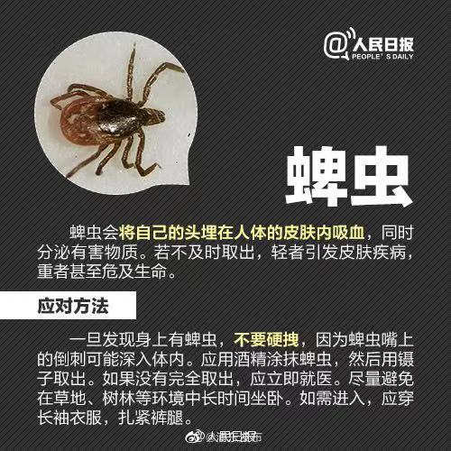 每年因为蜱虫叮咬和不科学的取蜱虫,会导致不少人病死或者致残,所以