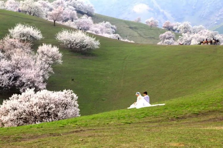 吐尔根杏花沟位于新源县吐尔根乡,距国道218线3公里处,是一片中世纪