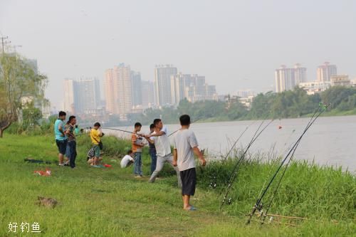 深圳免费钓鱼场过来,过来钓鱼了!