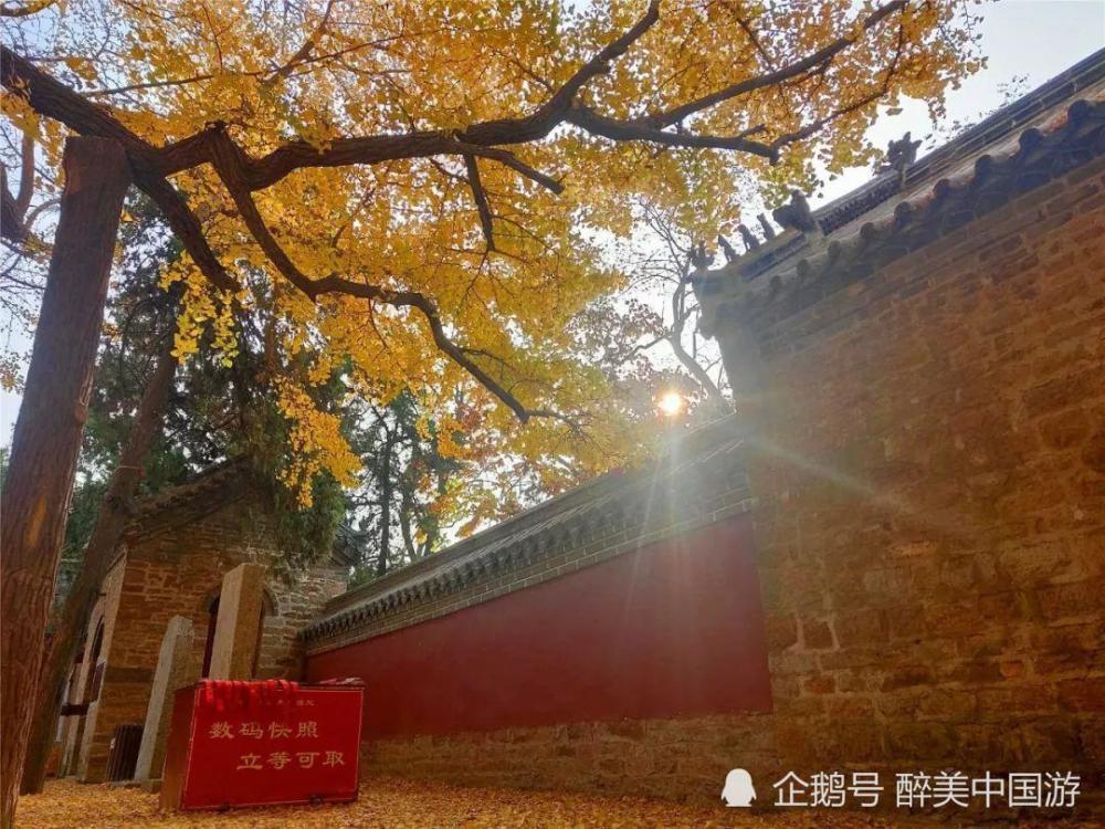 探访浮来山风景区,千年银杏树参天而立,千年古刹,幽静