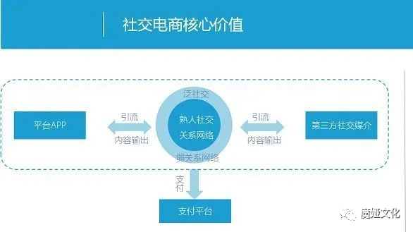 社交电商模式的多样化趋势