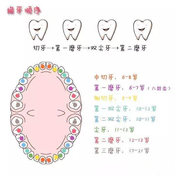 宝宝的换牙期到来乳牙迟迟不掉四大原因家长别含糊