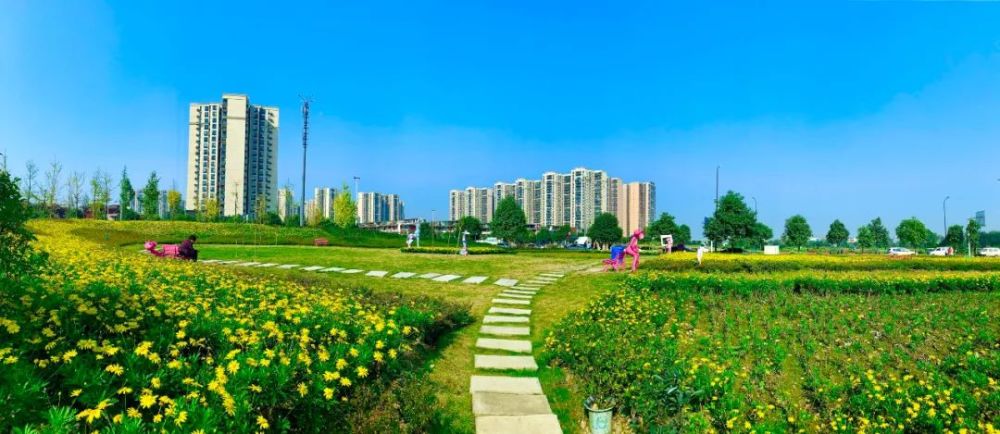 以实实在在的工作成效迎接建党100周年,双流区城市更新中心(九江新城