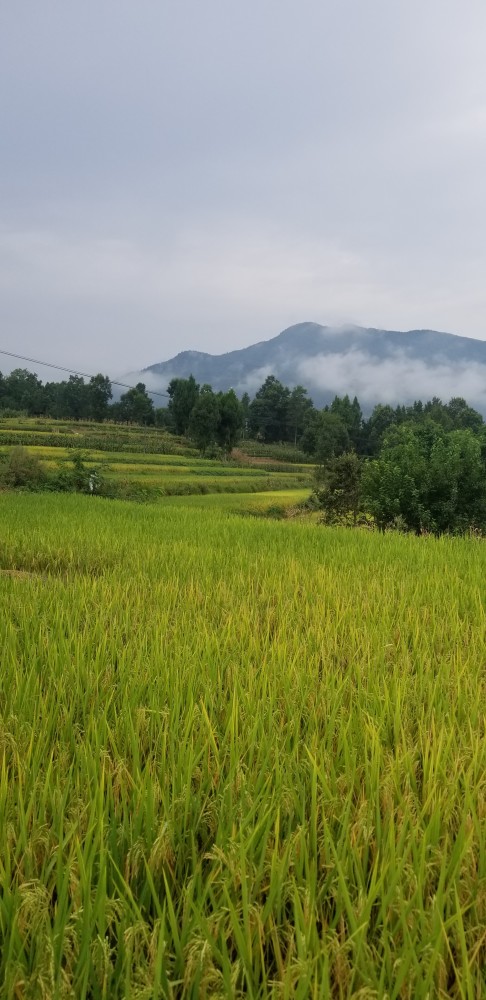 山村美景纯真童年