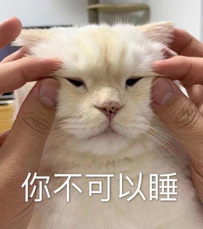 萌宠表情包别爱我没结果