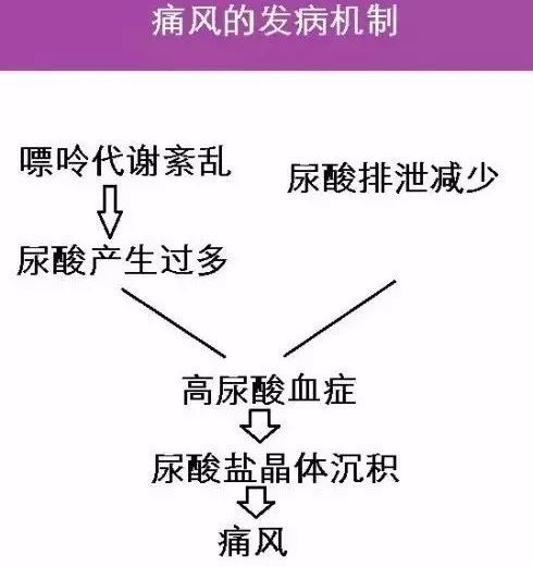 痛风的病因病机治疗方式