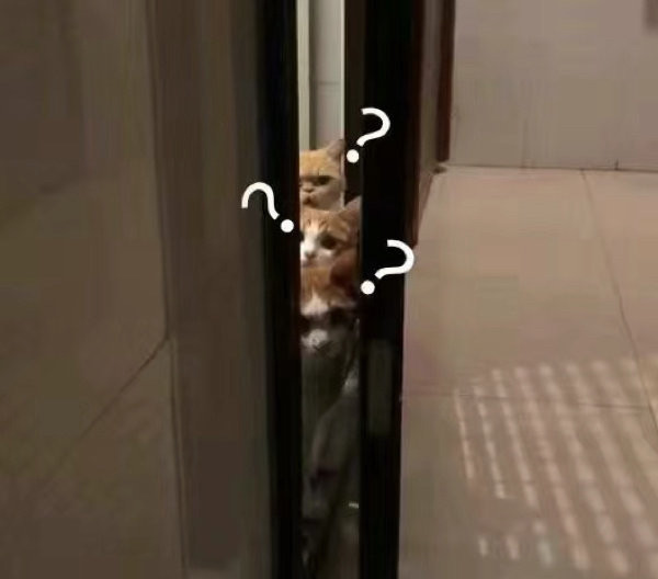 问号表情包吖