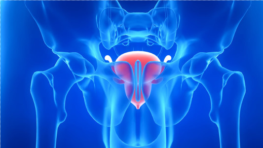 前列腺按摩是怎样一种体验?它常用于诊断和治疗慢性前列腺炎患者