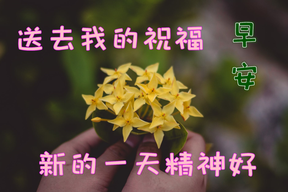 早上好问候语温馨短句1月15日清晨早安心语正能量朋友圈语录早上好正