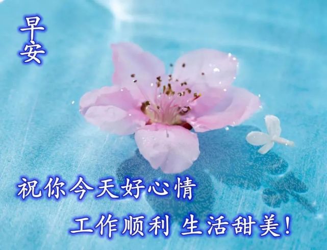 清晨漂亮风景早上好图片 免打字朋友圈早安问候祝福语