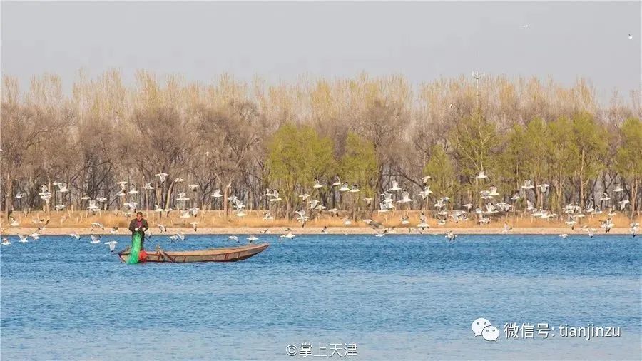 这,就是宝坻潮白河!还有