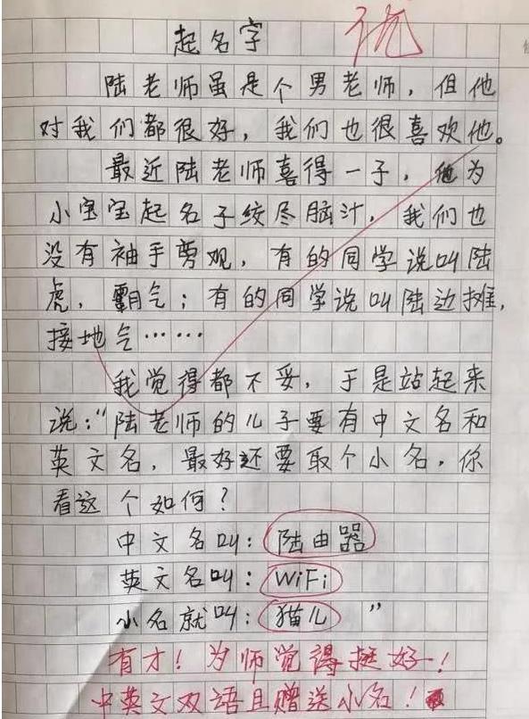 小学生满分作文《我的理想》走红,老师批语抢风头:注意你同桌