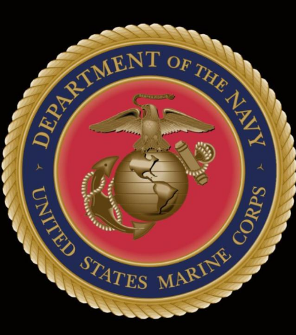 美国海军陆战队标志喜欢玩枪吗?