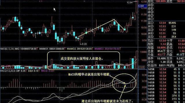 中国的绝大数人口都是_大数的认识手抄报(3)