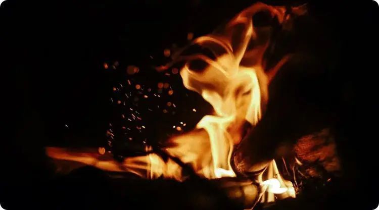 梦境迷离，梦见好多蚯蚓被自己打断了——解密潜藏的吉兆与心灵启示