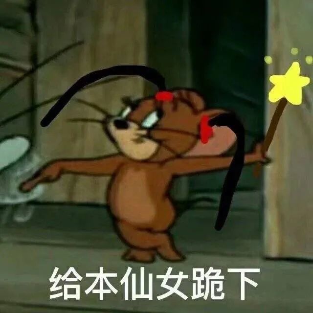 表情包:给本仙女跪下