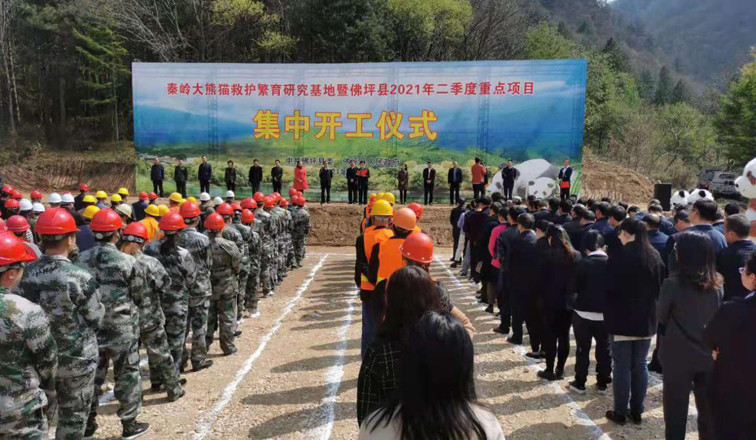 秦岭大熊猫佛坪救护繁育研究基地项目举行开工仪式