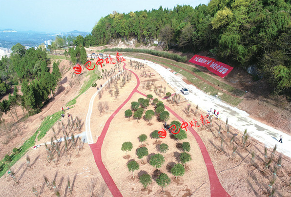 恩阳义阳山公园提升建设加快推进