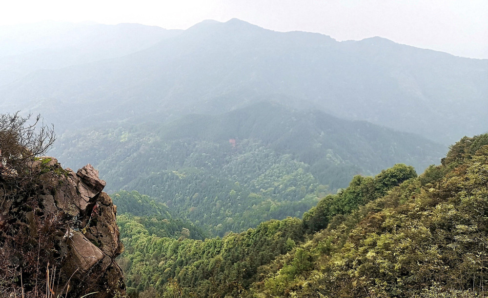 玉山有多少人口_台湾阿里山我来了 眼前的景色真是太美啦(3)