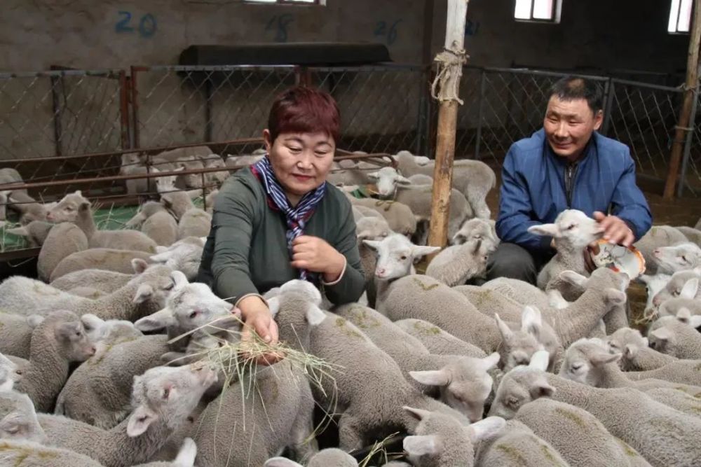 锡盟这些牧民真"牛"!
