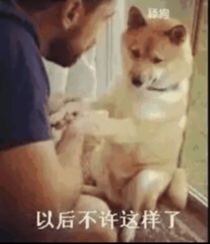 大家有可怜中透着一丝丝搞笑的舔狗语录吗?