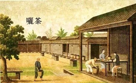 茶史篇|广州十三行外销茶叶,被西方世界誉为"绿色的黄金"