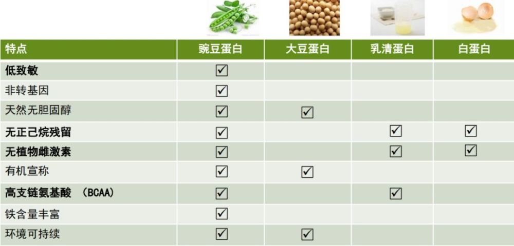 植物基火爆来袭——豌豆蛋白成为功能性原料新宠