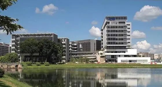 新加坡国立大学新增的4门硕士专业申请即将截止!