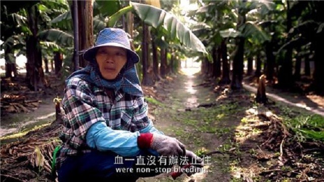 陨落的"玫瑰少年" 然而,每天都在努力生活的叶永志还是没能顺利融入