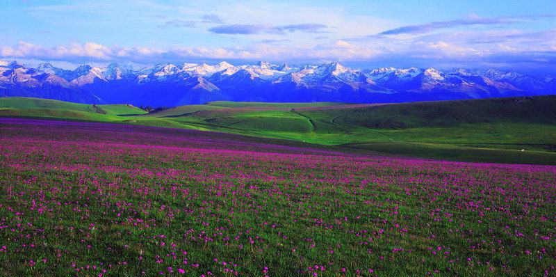 新疆旅游攻略(97)-新疆旅游景区景点-伊犁河谷景区景点