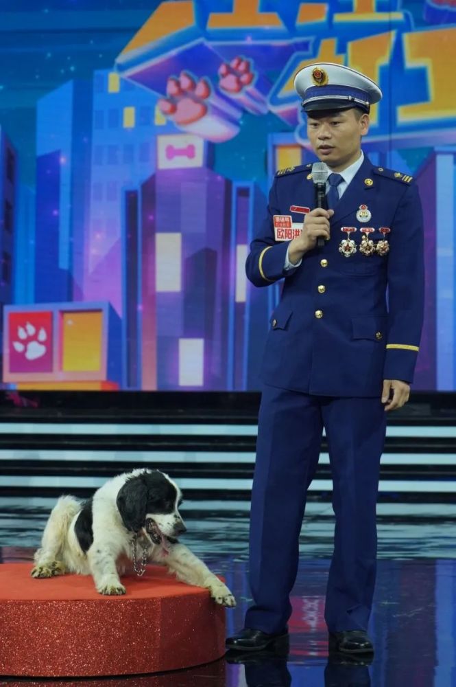 也带着两岁的史宾格搜救犬" 冰洁" 踏上了前往震区北川的道路 冰洁