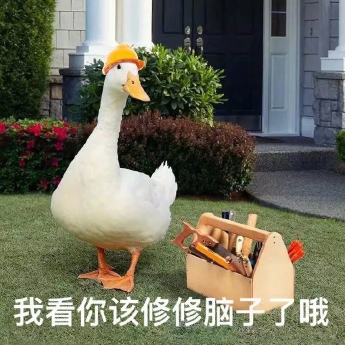 表情包|拽拽鸭鸭