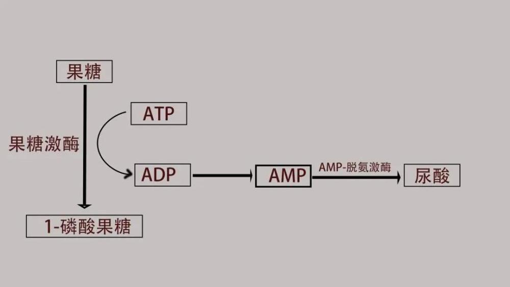 图:果糖代谢过程