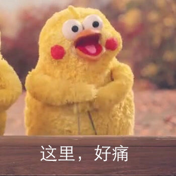 鹦鹉兄弟沙雕表情包|你的良心不会痛吗?