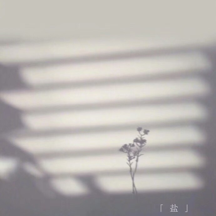 超级好看的文字背景图