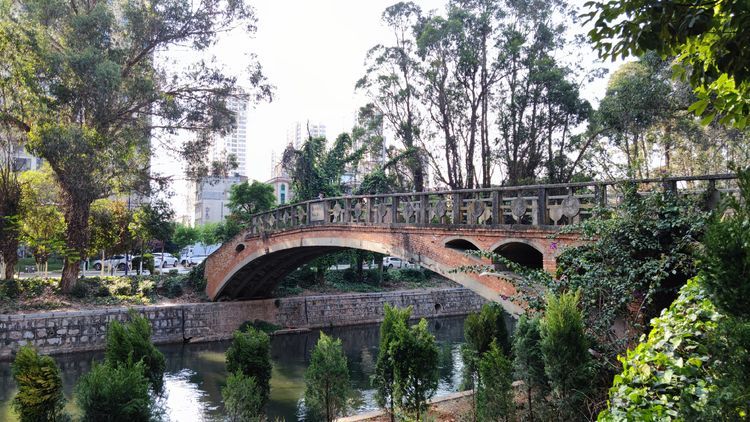 昆明盘龙江边绿树浓荫,叶子花开,春来江水绿如蓝的景致,美