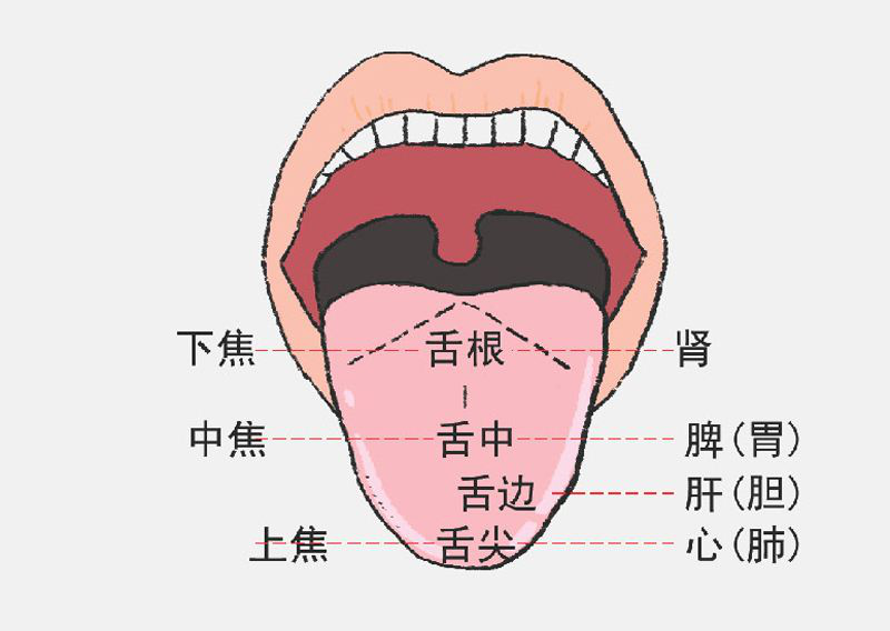 孩子健康看舌头这个太实用了