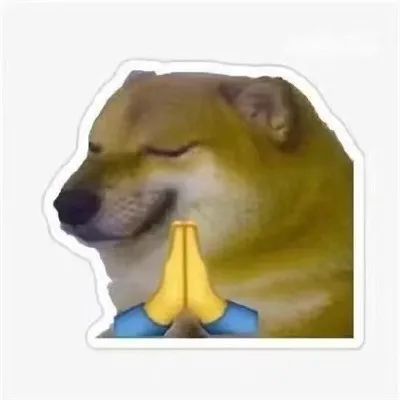 表情包:沙雕又可爱的柴犬