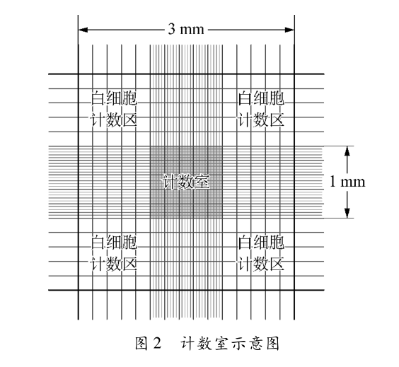 教学参考血球计数板的有关解读