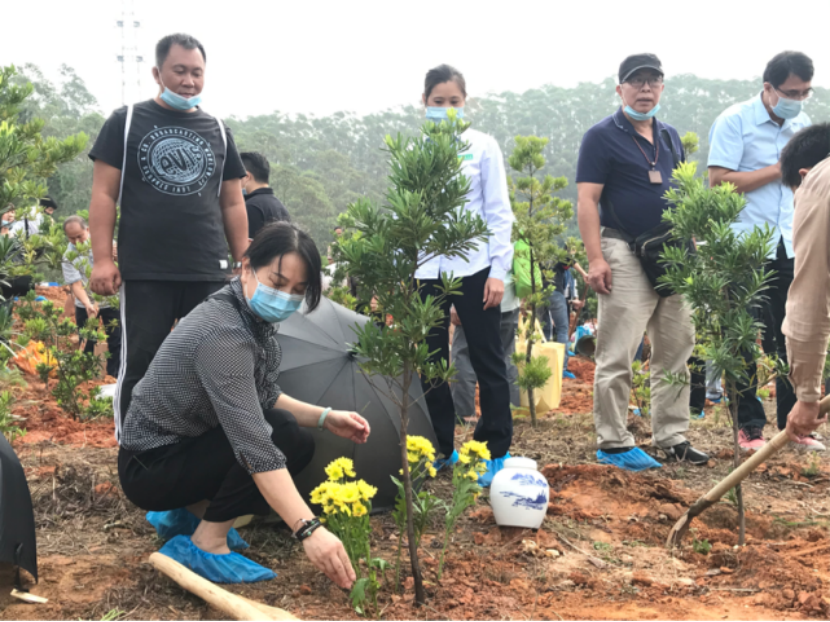 佛山市月底举办2021年"骨灰植树 回归自然"活动,现已接受报名