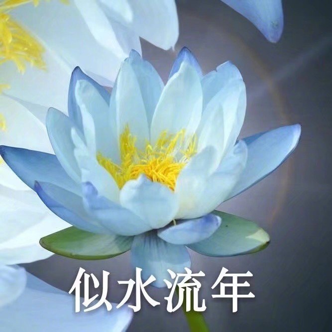 搞怪头像/幸福一家人
