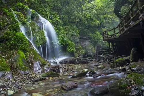 其周边还有亚木沟,苗王城,石阡温泉群等景点,旅游资源丰富.