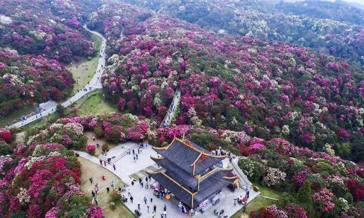 "高原明珠"--威宁草海