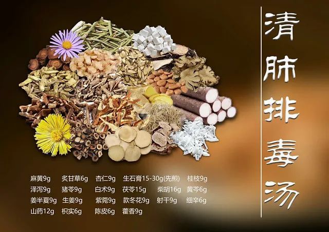 大疫出良方新科学证据清肺排毒汤使新冠肺炎死亡率下降一半