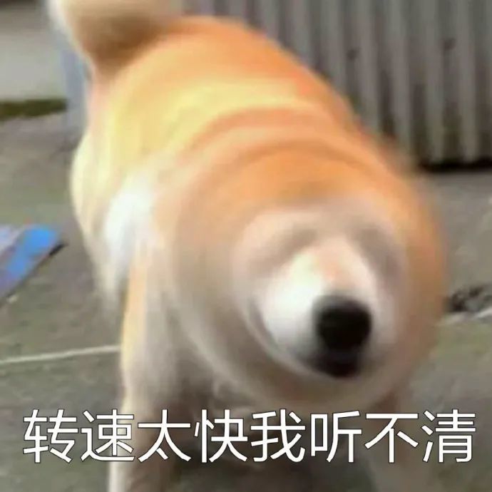 柴犬表情包:火速逃离虐狗现场,不明真相的围观狗群