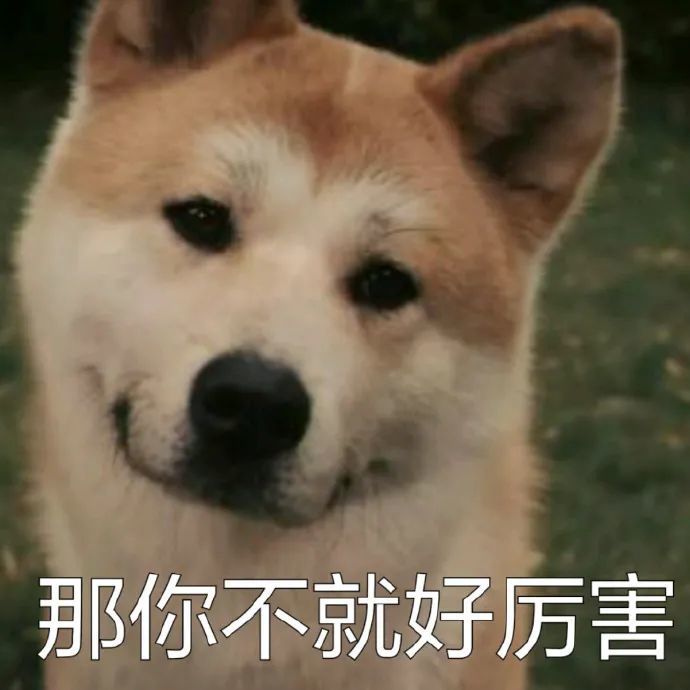 柴犬表情包火速逃离虐狗现场不明真相的围观狗群